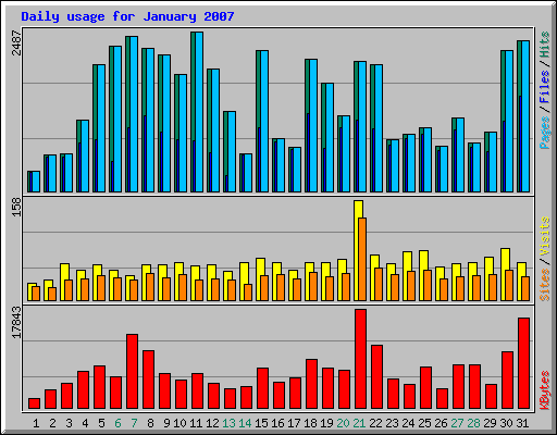 Daily usage for January 2007