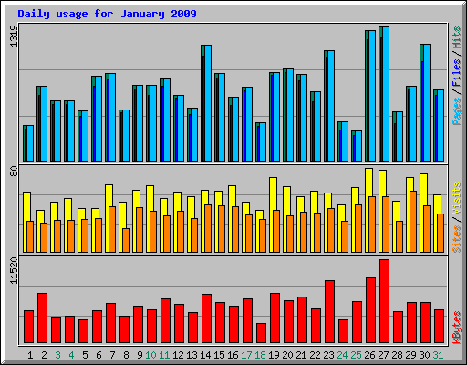 Daily usage for January 2009
