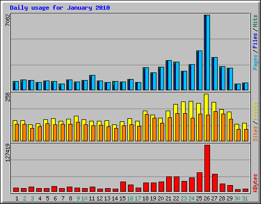 Daily usage for January 2010