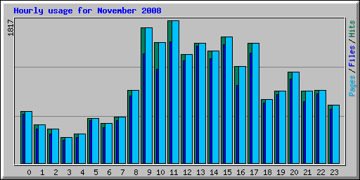 Hourly usage for November 2008