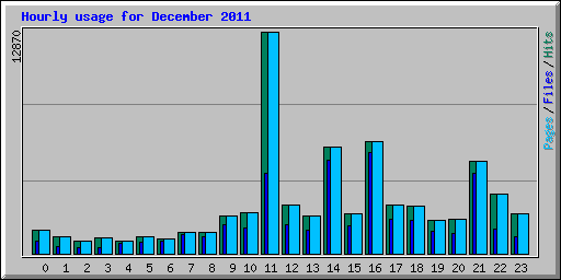 Hourly usage for December 2011